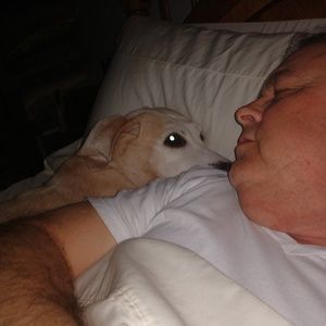 Meet your Posher, Terry